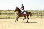 SBM_000503