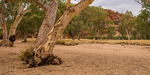 Dry River