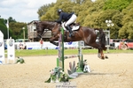 169-DHI_HOUDINI-Sophie_Hodgson-SUNTrotUp+SJ portfolio