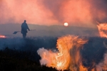 Gorse burning as the sun goes down