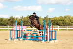 SBM_000816