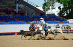 3HRodeo8-11-25_PRCASteer_06219_