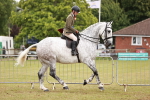 SBM_10955