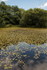 ACP_2560-1