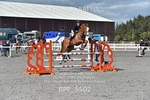 BPP_5502