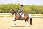 SBM_008008