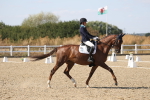 SBM_022619
