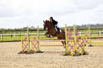 SBM_000737