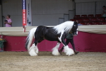 SBM_06535