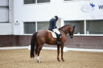 SBM_001523
