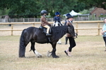 WJ7_6694