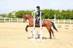 SBM_007791