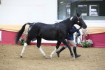 SBM_23655