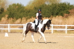 SBM_018280