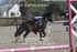 BPP_7972