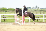 SBM_009431