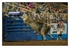 Bull Riding 1