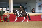 SBM_09767
