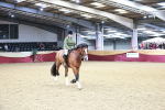 SBM_03614