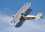 RAF.Hawker Demon G-BTVE/K8203