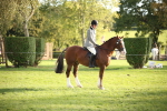 SBM_54341