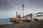 The Petrel whaling boat Grytviken