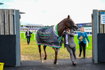 190826-Race 4-Item-0716