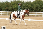 SBM_001961