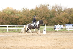 SBM_000740