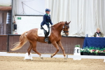 SBM_001594