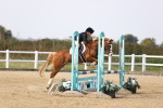 SBM_002901