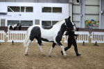 SBM_5339