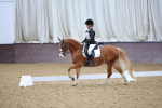 SBM_004199