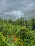 Juneau and Humpbacked Whales-266