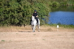 WJ6_6967