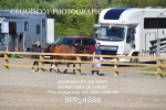 CLASS 12 SAT Club/ Unaffiliated 80cms Open portfolio
