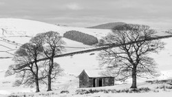 Leech Wood Barn