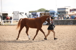 SBM_07078