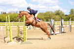 SBM_001636