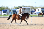 SBM_08730