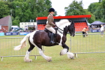 SBM_02623