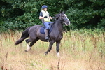 WJ6_2106
