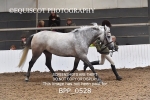 BPP_0528