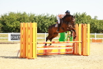SBM_000548