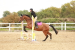 SBM_007614