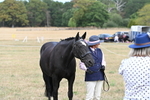 WJ6_6325