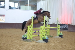 SBM_008895