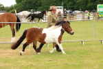 SBM_04416