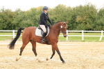 SBM_002887