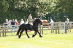 SBM_07040